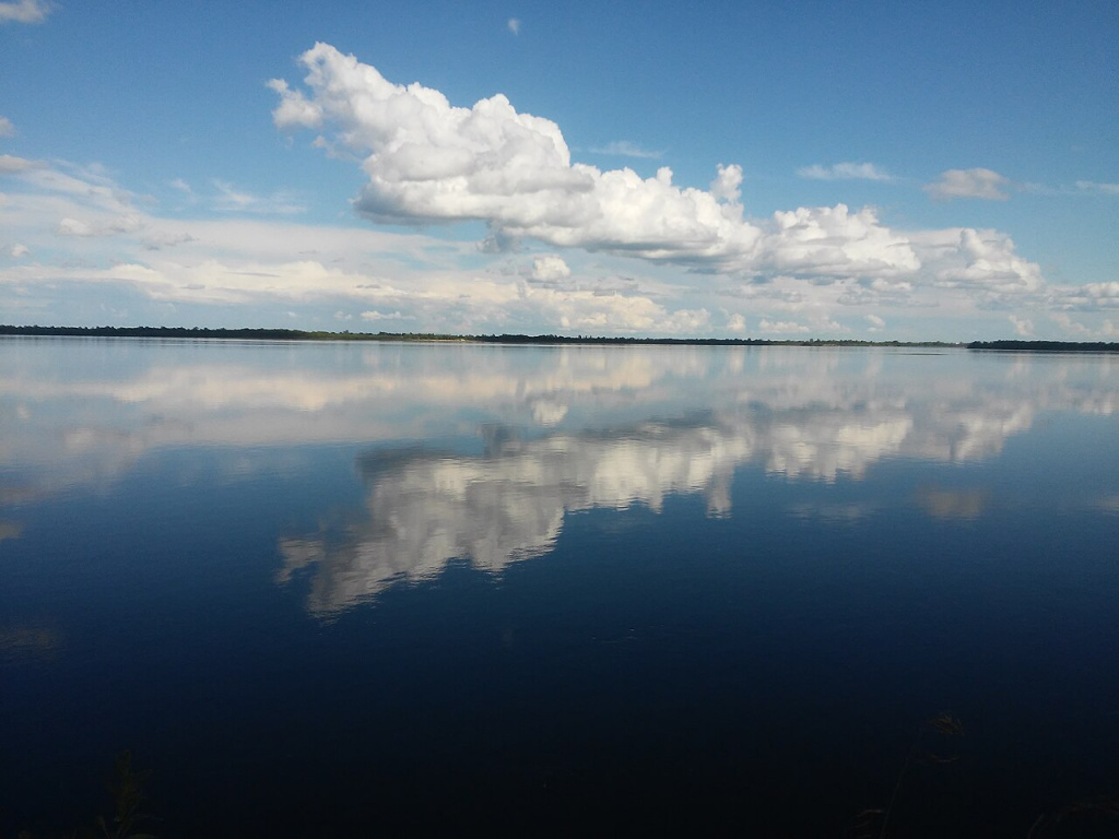 Зея в районе села Егорьевка. Фото: wikimedia.org