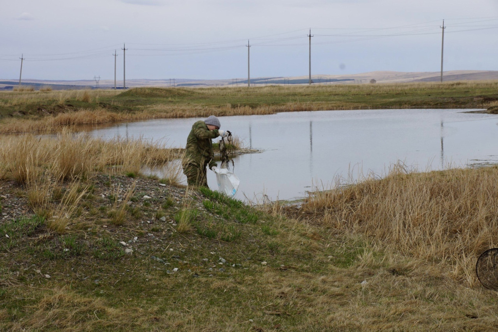 Субботник на территории заказника «Озера Койбальской степи» в Хакасии