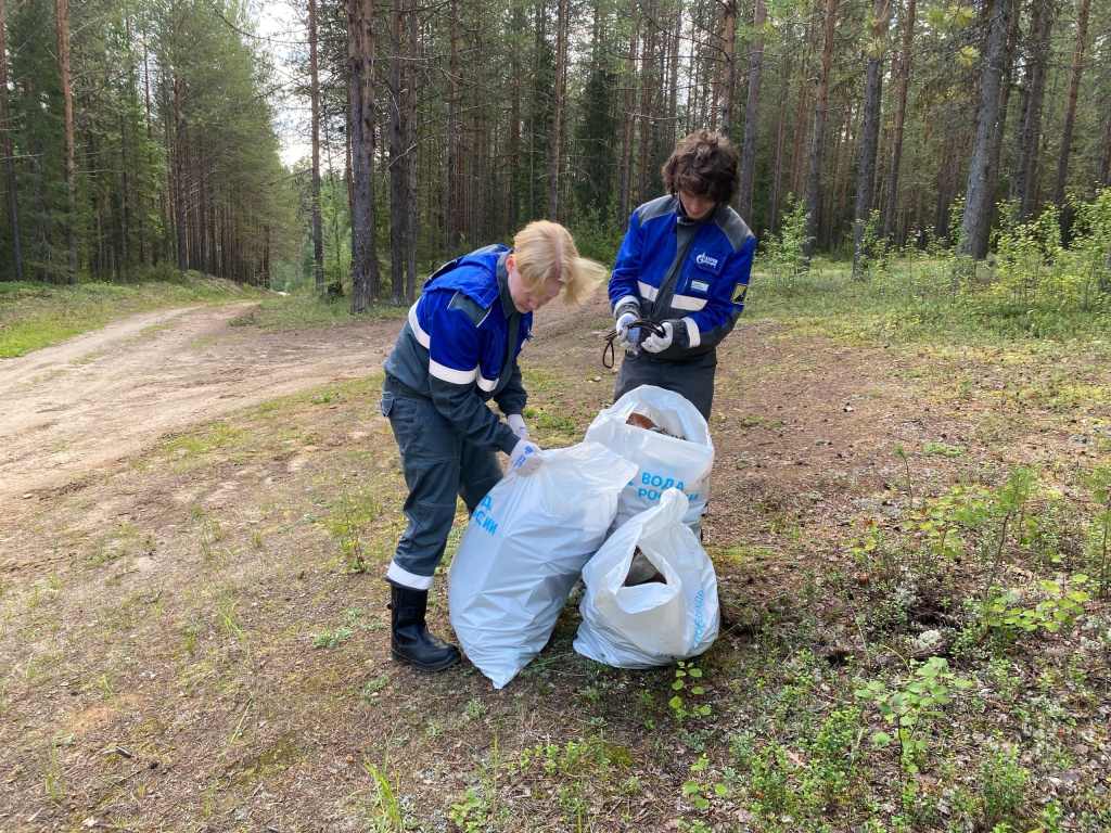 В Коми волонтеры очистили берега Волги, Вычегды, Параськиных озер и Печоры