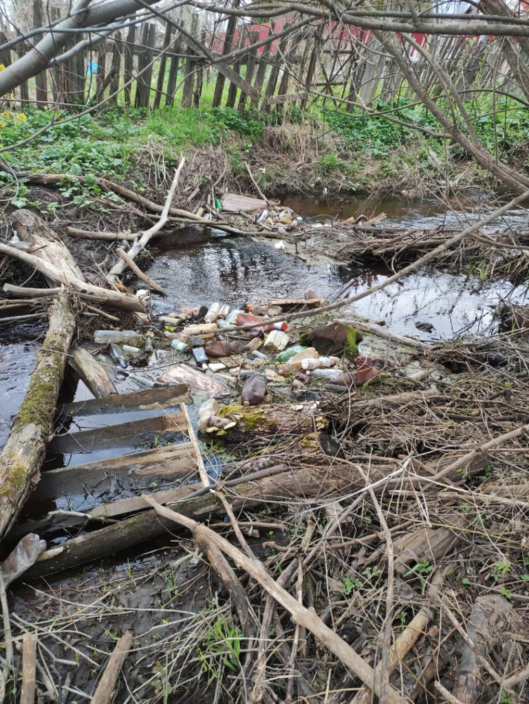 Как волонтеры из Тверской области очищают ручьи и находят раритетные вещи