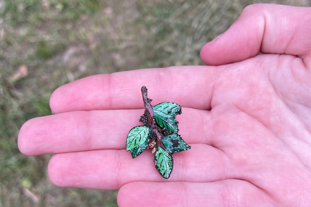 Одна из находок Находка 11.jpg