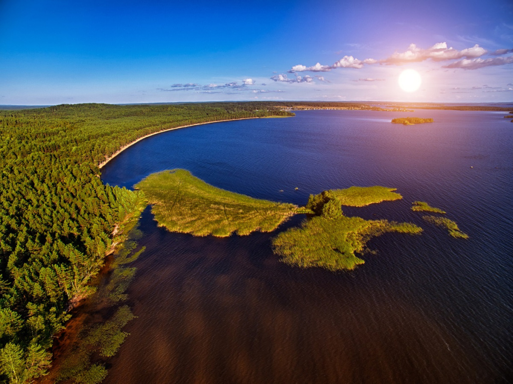 Фото: shutterstock