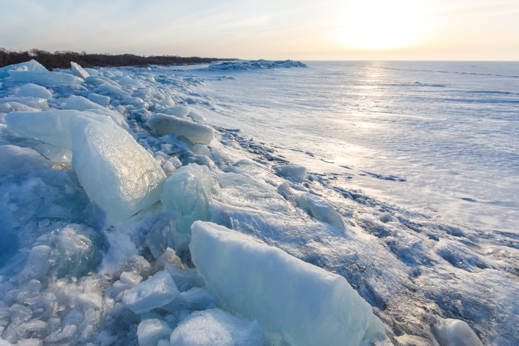 shutterstock_2093289580.jpg shutterstock_2093289580.jpg