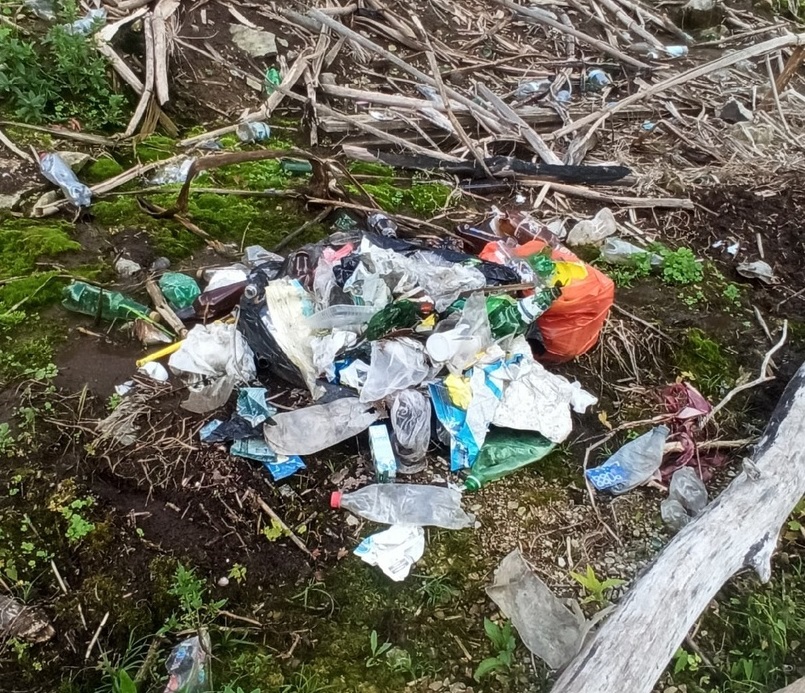 берега Великой до уборки.jpg