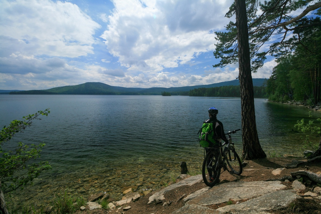 Фото: shutterstock