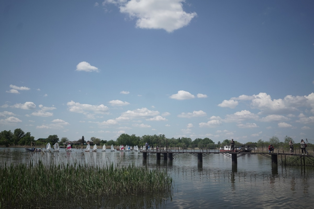 Парусная регата.jpg