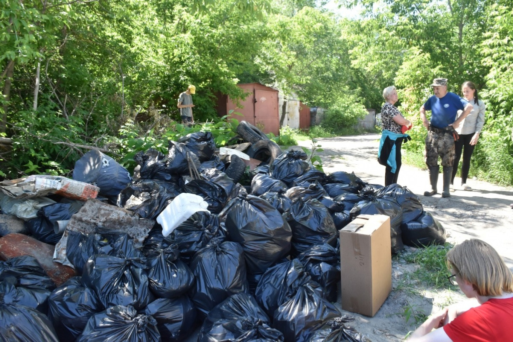 Кресла, бампер и кинескоп: волонтеры Алтая нашли целый склад на берегах Пивоварки