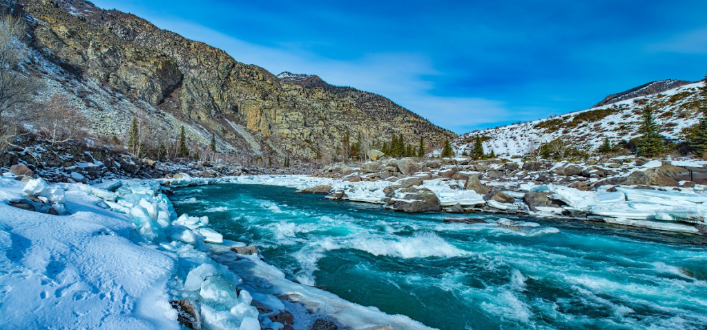 Фото: shutterstock shutterstock_1727309704.jpg