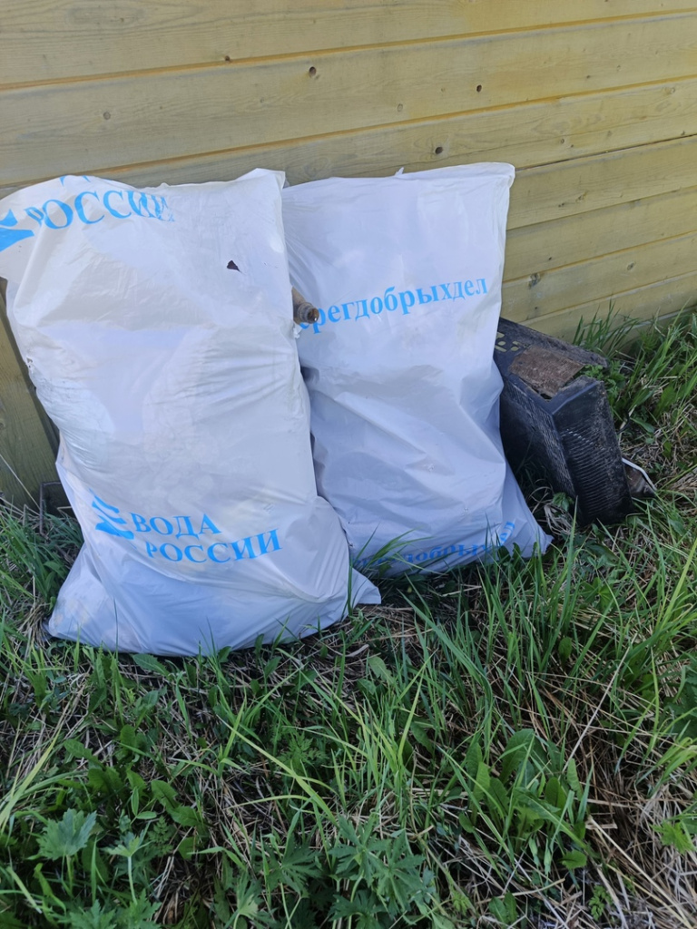 Ударный субботник прошел также на территории Архангельской области.