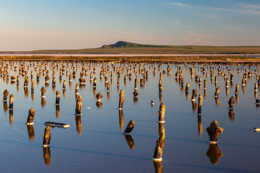 Фото: shutterstock Фото: shutterstock