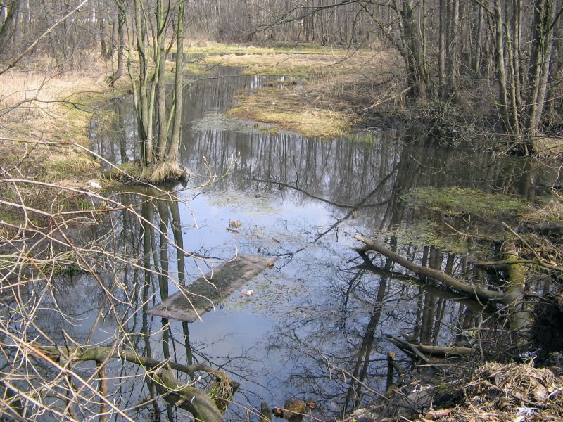 Замусоренная Македонка.jpeg Замусоренная Македонка.jpeg