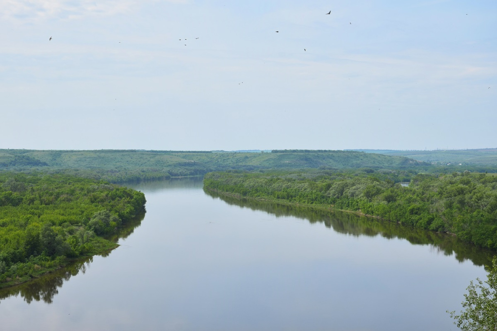 Фото: shutterstock