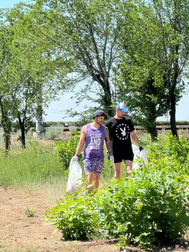 В городе Волжском Волгоградской области 70 экоактивистов привели в порядок участок берега Волгоградского водохранилища.