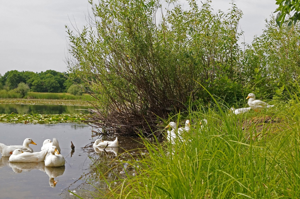 Фото: shutterstock Фото: shutterstock