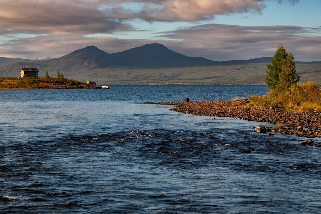 Фото: shutterstock