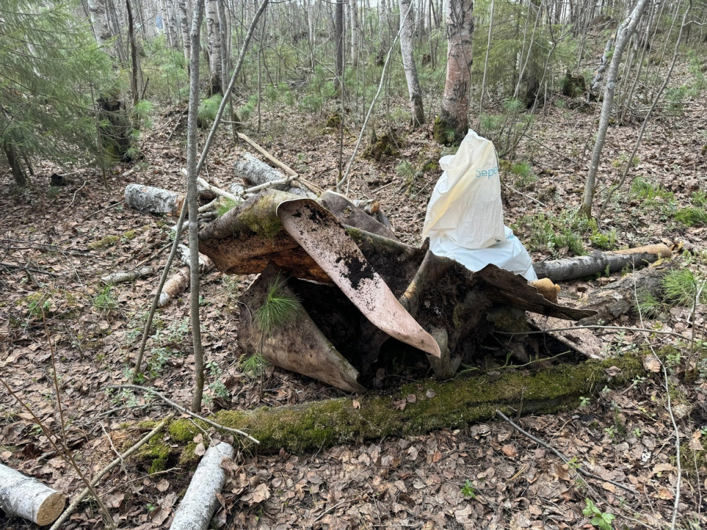 Акция «Вода России» стартовала в Нижневартовске