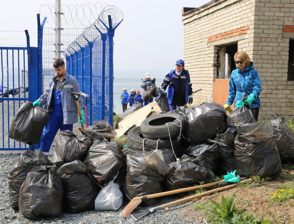 100 сотрудников компании «Транснефть – Порт Козьмино» организовали масштабную уборку берегов залива Находка вблизи причалов терминала