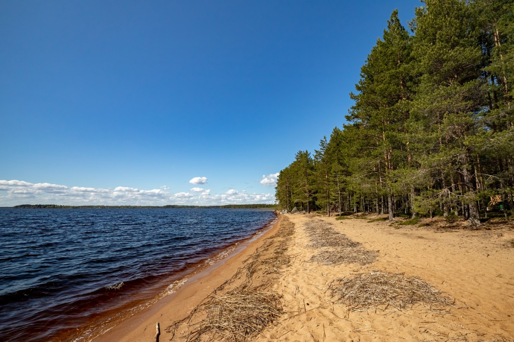 Сямоозеро. Фото: shutterstock