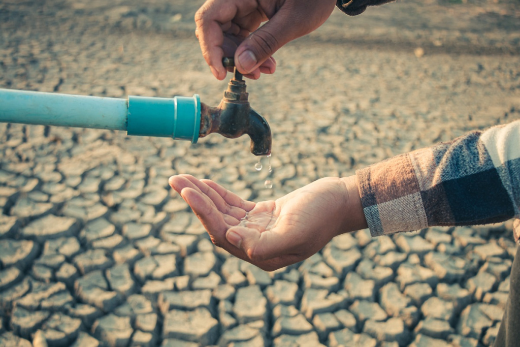 Фото: shutterstock