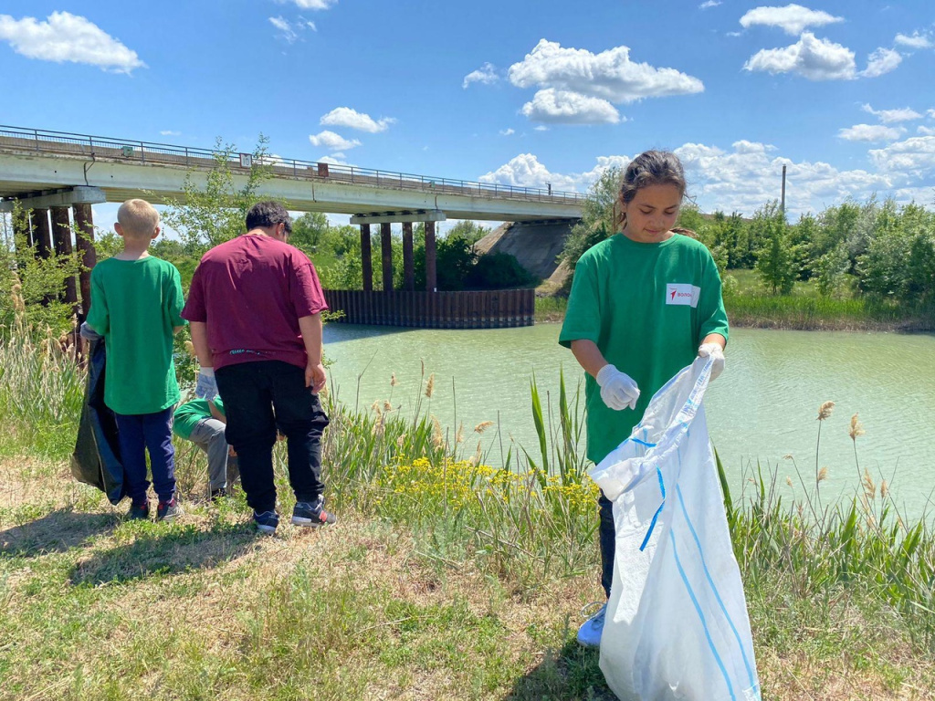В Ростовской области местные экоактивисты очистили берег Манычского канала.