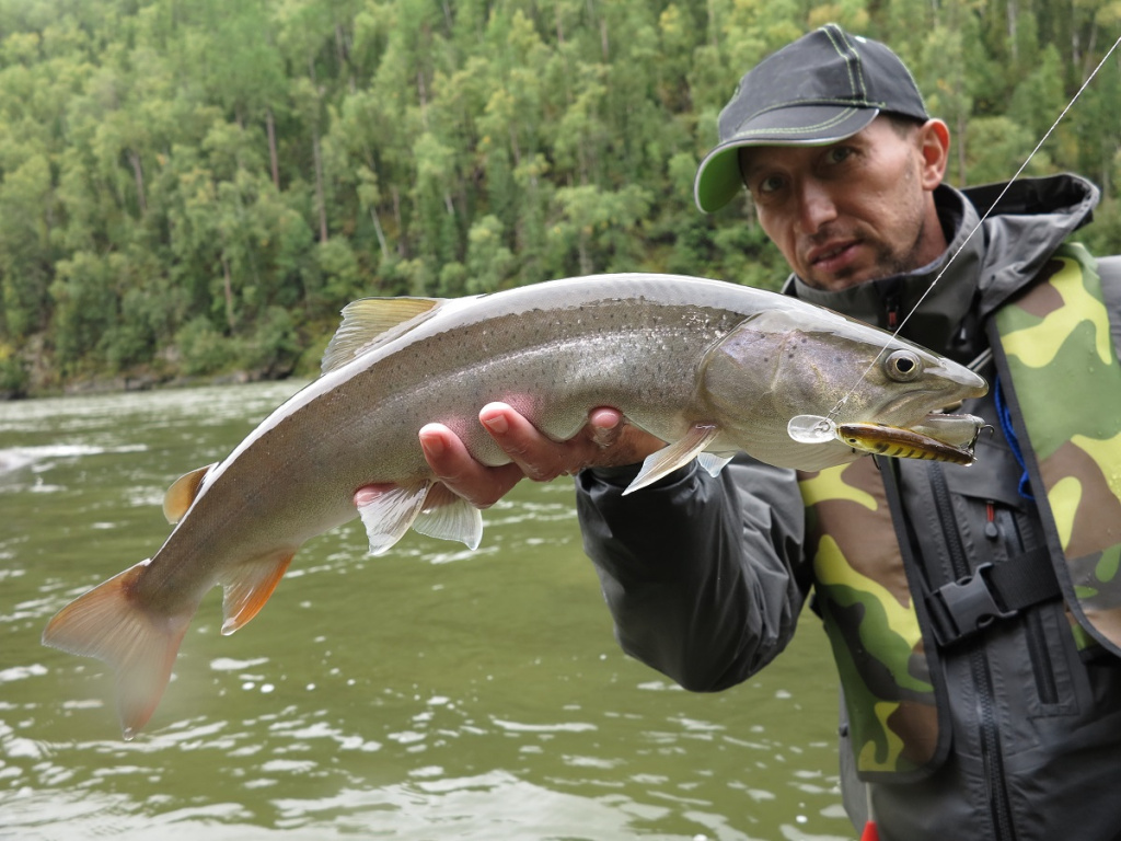 Фото: shutterstock