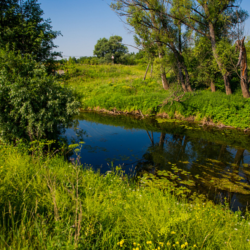 Республика Башкортостан, 22.06.2021