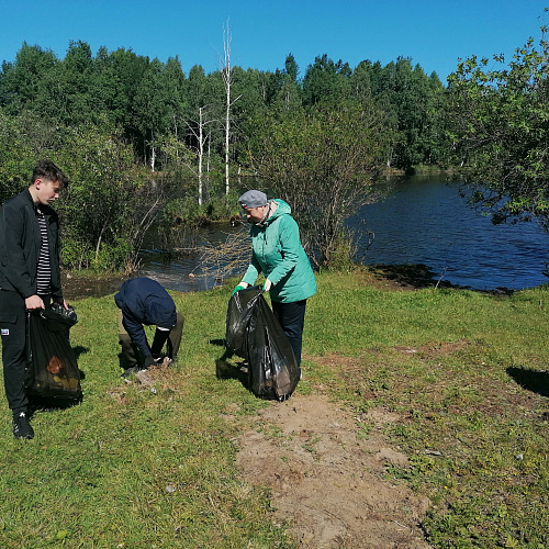 д. Новопокровка, река Цингулька, 04.06.2021