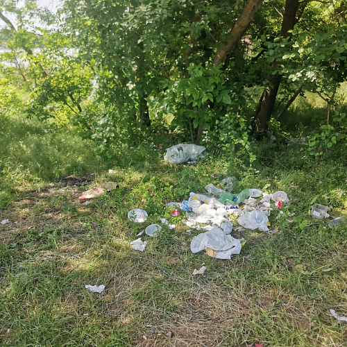 Поселок Кадамовский, пруд Кадамовский, 29.05.2021