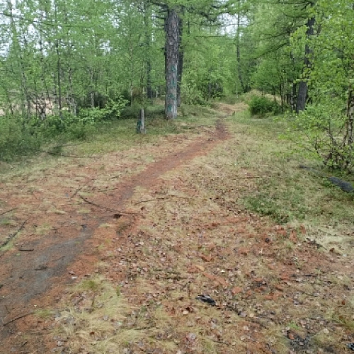 Новый Уренгой, Река Варенга-Яха, 14.06.2022