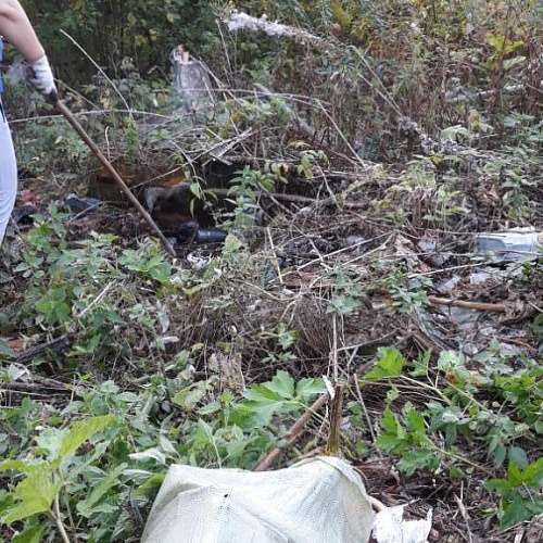 Краснокамский городской округ, д. Семичи, Пруд, 21.08.2021