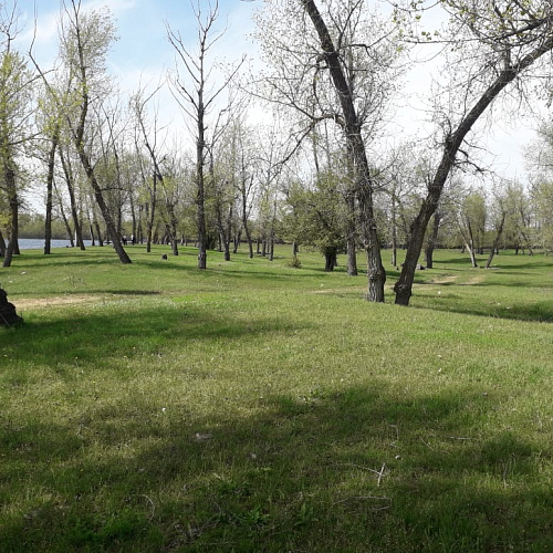 село Каршевитое, река Волга, 22.04.2024