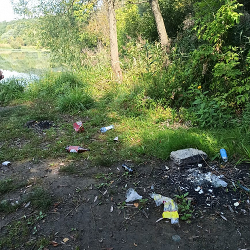Видное , Таболовский пруд , 25.08.2022