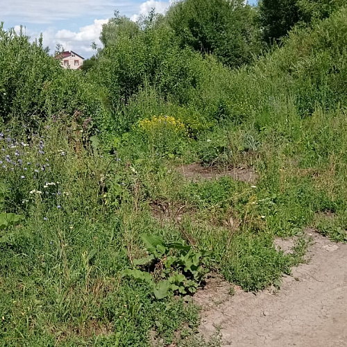 Уфа, озеро, 21.07.2022