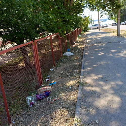 Волгоград, Волга, 16.07.2024