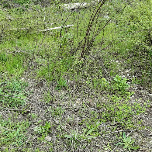 Акция "Вода России" в Карачаево-Черкесской Республике
