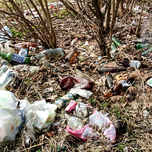 Курск, река Сейм, 02.04.2023