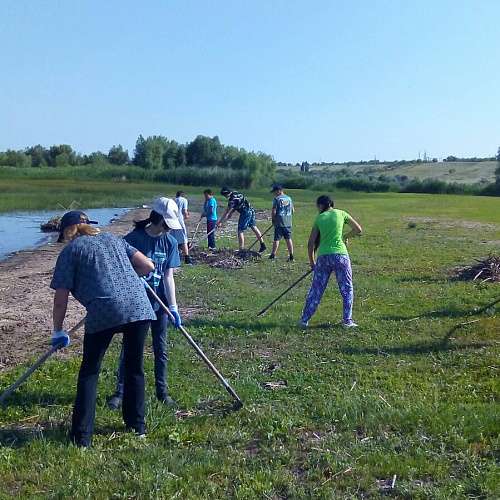 Энгельсский район село Степное, берег Волги, 28.06.2022