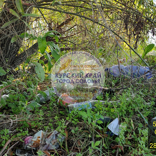 Курск, Стрелецкое озеро, 28.08.2023