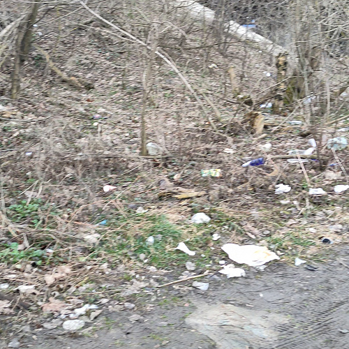 Курск, река Сейм, 25.03.2023