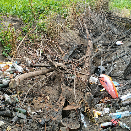 Курск, река Сейм, 19.06.2023