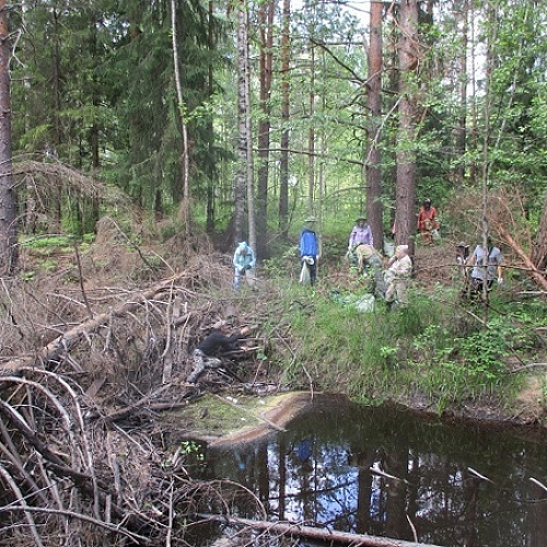 п. Рустай, р.Вишня, 02.06.2023