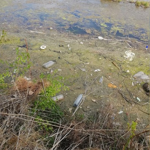 Акция "Вода России" в Челябинской области