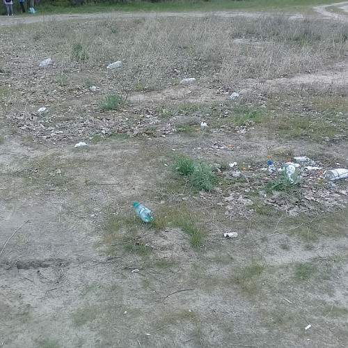 Акция "Вода России" в Ростовской области