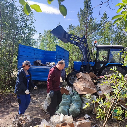Мончегорск, озеро Морошечное, 09.07.2023