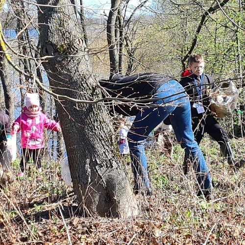 деревня Савино Новгородского района Новгородской области, река Вишера, 16.04.2024