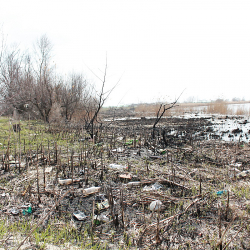 Акция "Вода России" в Ростовской области