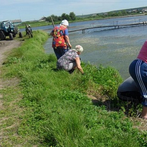 село Назарово, пруд в с. Назарово, 21.07.2023