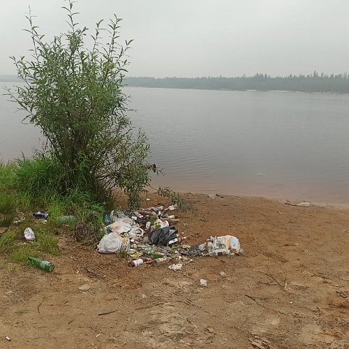 Губкинский, река Пяку-Пур, 06.08.2021