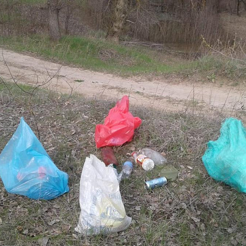 Акция "Вода России" в Ростовской области