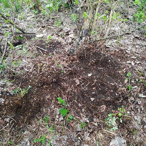 г. Саратов, р.Волга, 30.04.2022